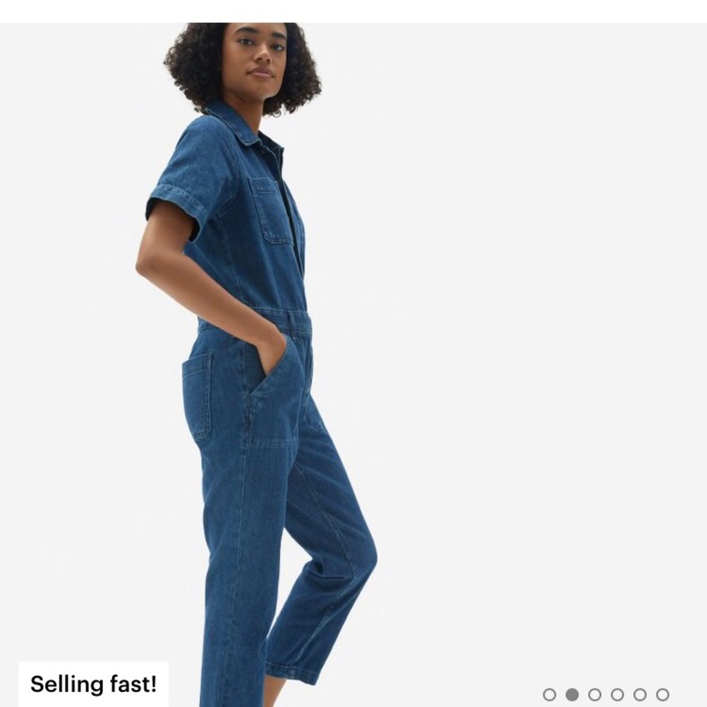 NWT Never worn Everlane Denim Coverall